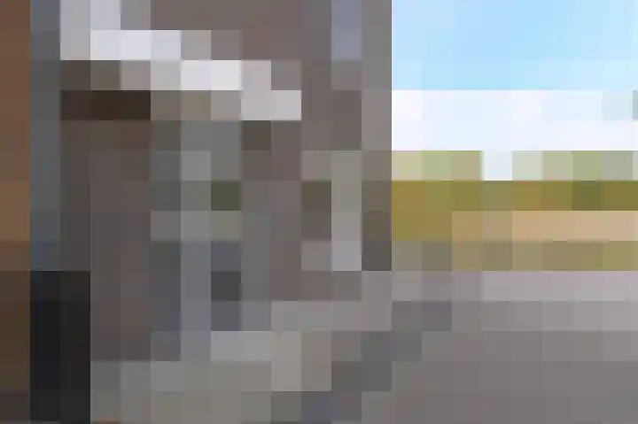 Parelmoervlinderlaan 105 Rijswijk thumbnail 8