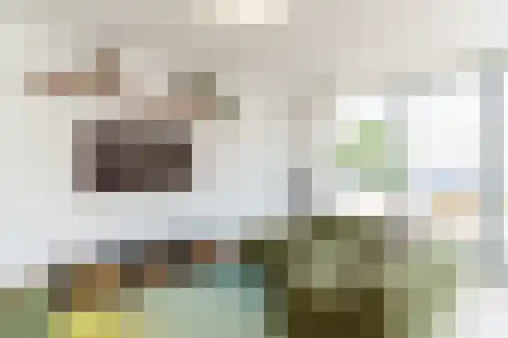 Parelmoervlinderlaan 118 Rijswijk thumbnail 17