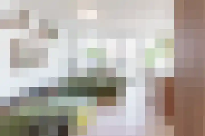 Parelmoervlinderlaan 118 Rijswijk thumbnail 19