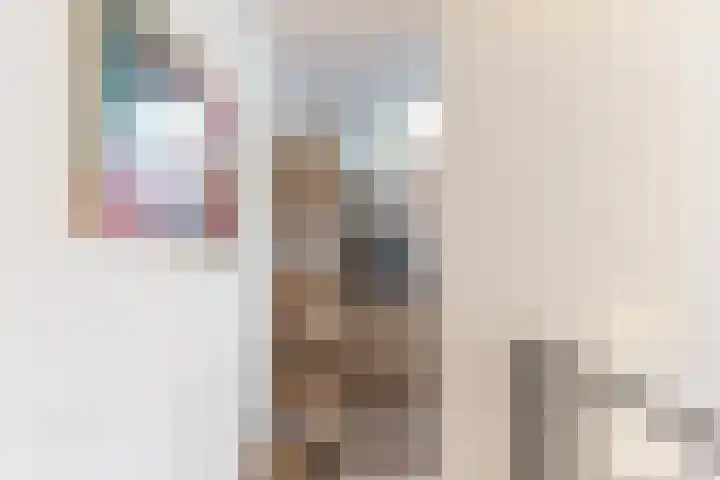 Parelmoervlinderlaan 118 Rijswijk thumbnail 28