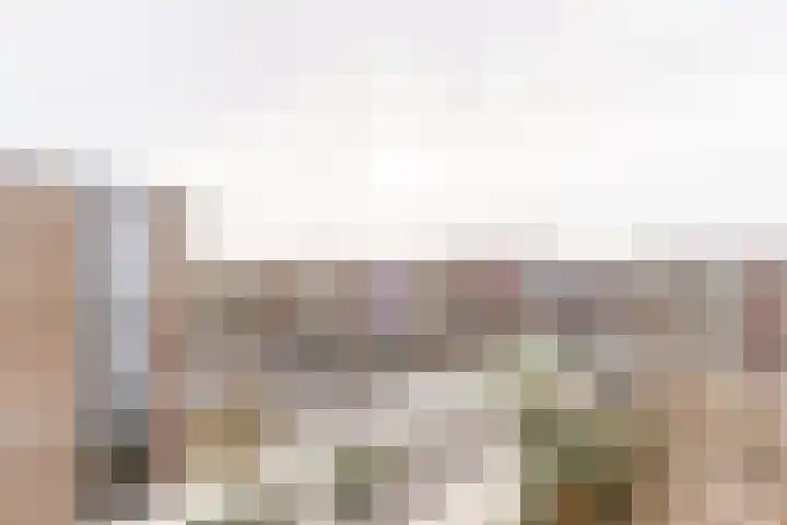 Parelmoervlinderlaan 118 Rijswijk thumbnail 6