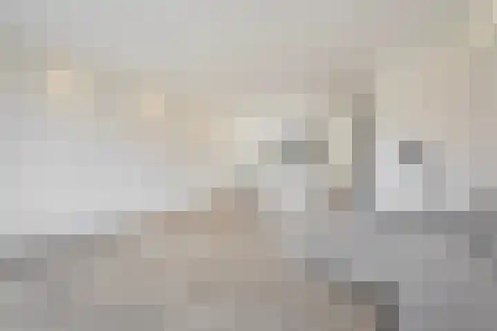 Parelmoervlinderlaan 122 Rijswijk thumbnail 13