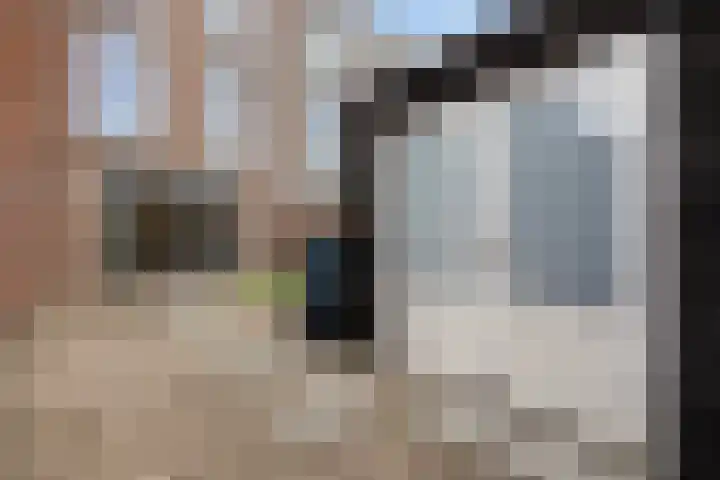 Parelmoervlinderlaan 122 Rijswijk thumbnail 16