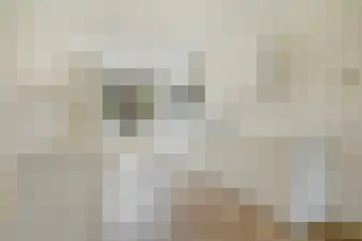 Parelmoervlinderlaan 122 Rijswijk thumbnail 19