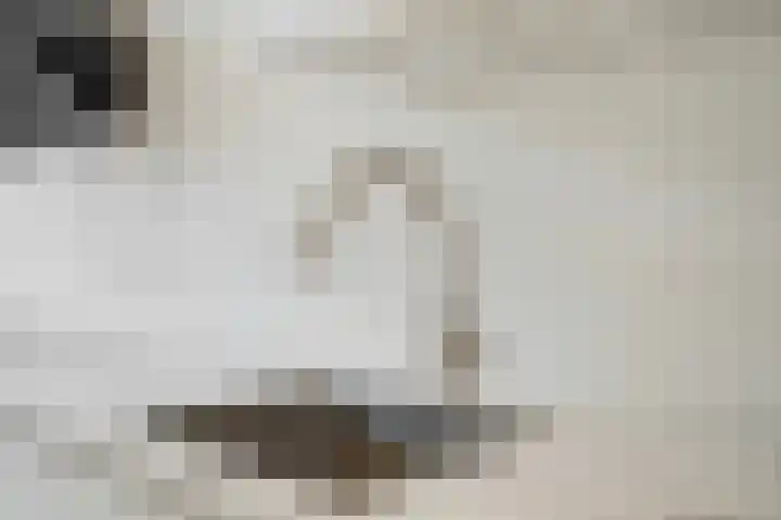 Parelmoervlinderlaan 122 Rijswijk thumbnail 23