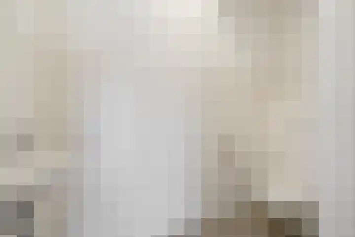 Parelmoervlinderlaan 122 Rijswijk thumbnail 31