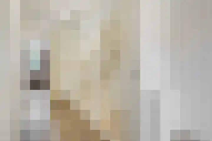 Parelmoervlinderlaan 122 Rijswijk thumbnail 33
