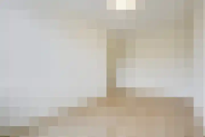 Parelmoervlinderlaan 122 Rijswijk thumbnail 39