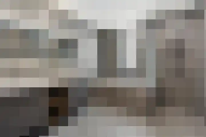 Parelmoervlinderlaan 122 Rijswijk thumbnail 42