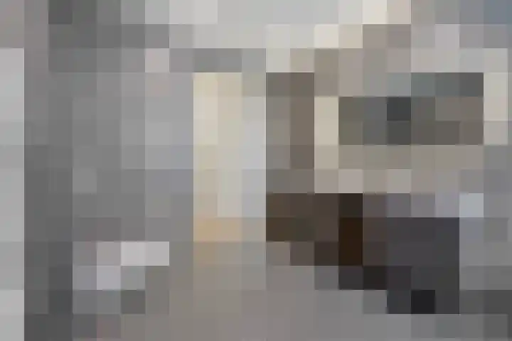 Parelmoervlinderlaan 122 Rijswijk thumbnail 43