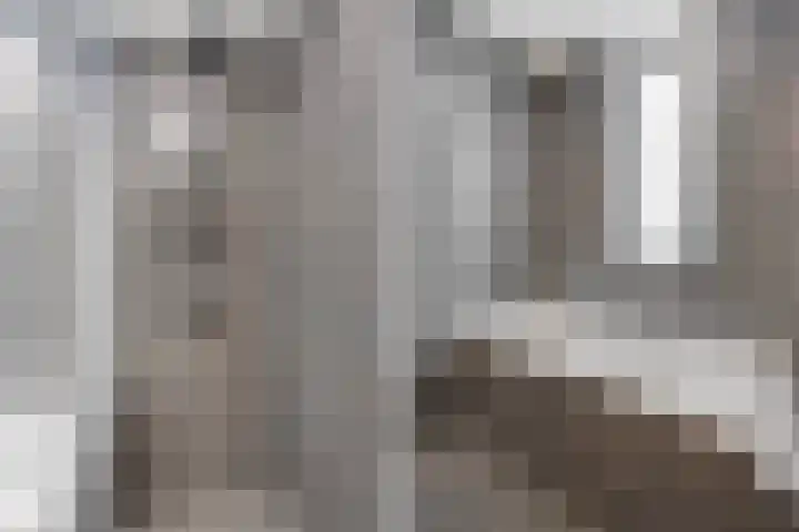 Parelmoervlinderlaan 122 Rijswijk thumbnail 44