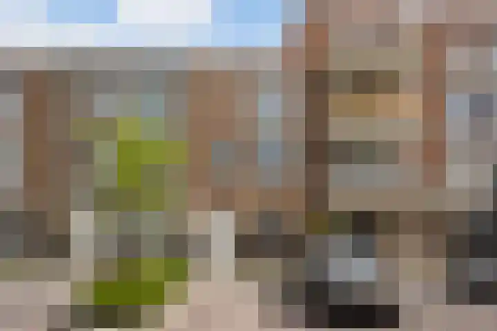 Parelmoervlinderlaan 122 Rijswijk thumbnail 5