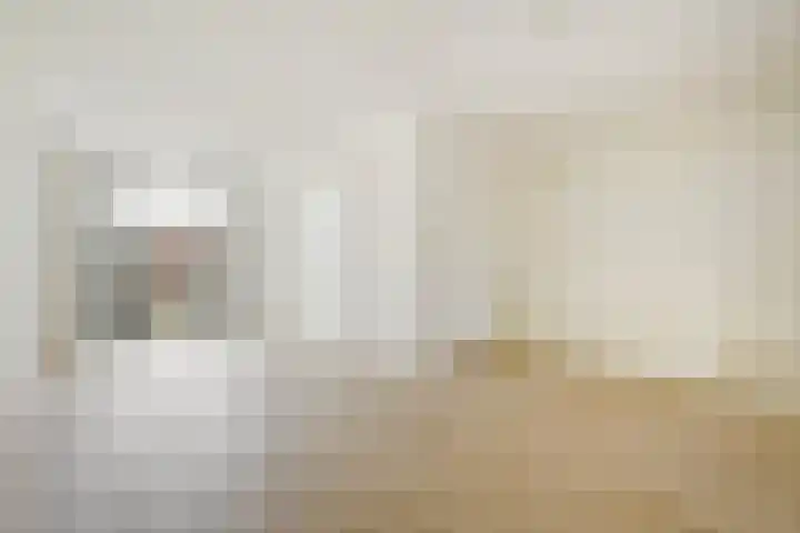 Parelmoervlinderlaan 122 Rijswijk thumbnail 50