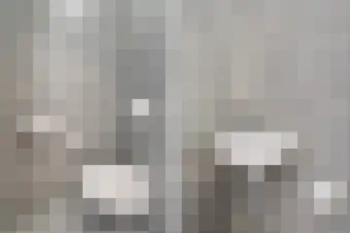 Parelmoervlinderlaan 122 Rijswijk thumbnail 9