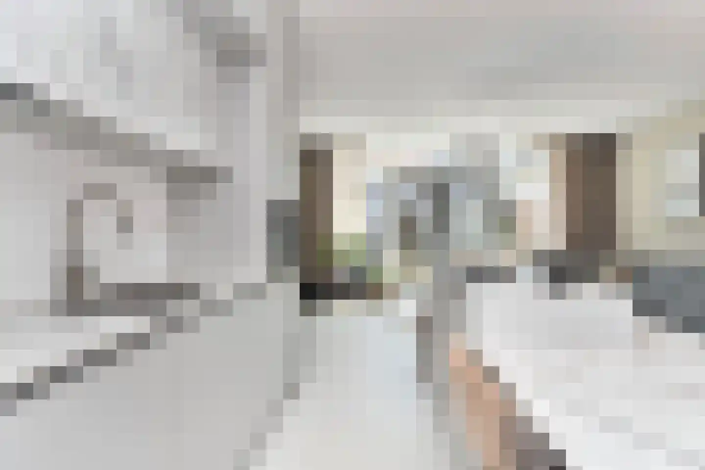 Parelmoervlinderlaan 134 Rijswijk thumbnail 10