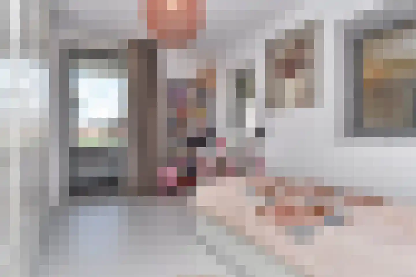 Parelmoervlinderlaan 134 Rijswijk thumbnail 23