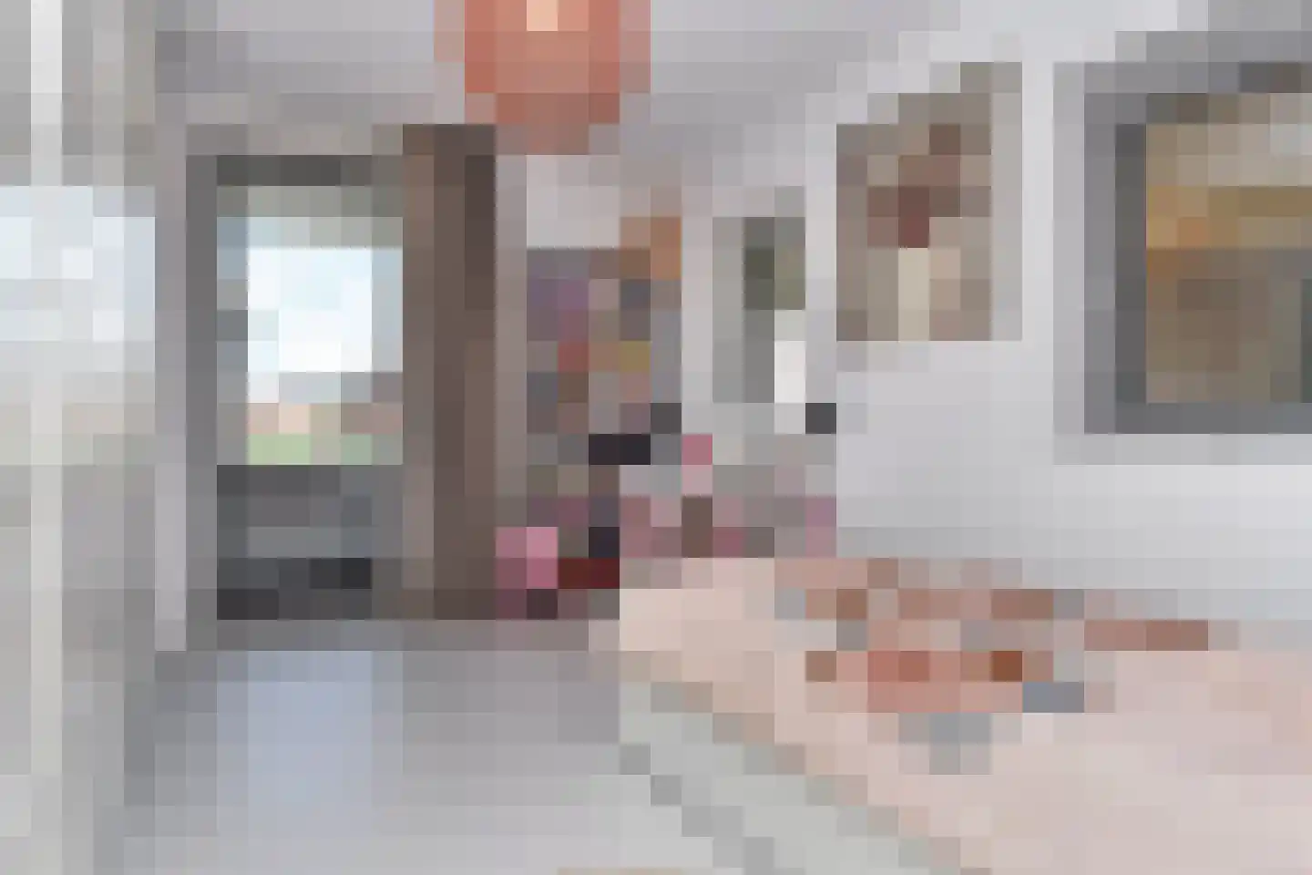 Parelmoervlinderlaan 134 Rijswijk thumbnail 23