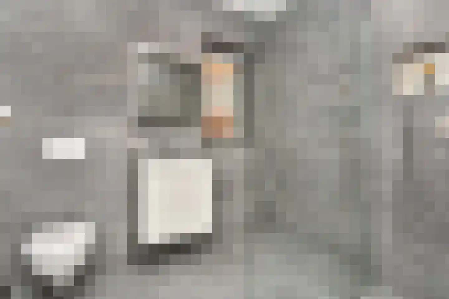 Parelmoervlinderlaan 134 Rijswijk thumbnail 30