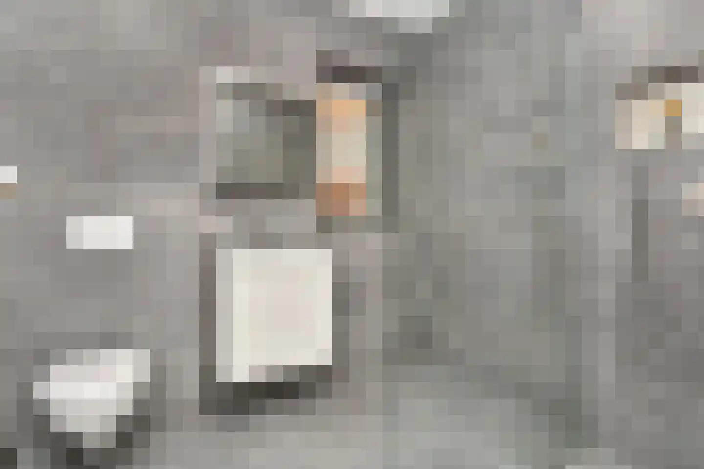 Parelmoervlinderlaan 134 Rijswijk thumbnail 30