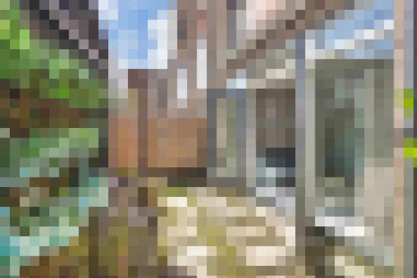 Parelmoervlinderlaan 134 Rijswijk thumbnail 33