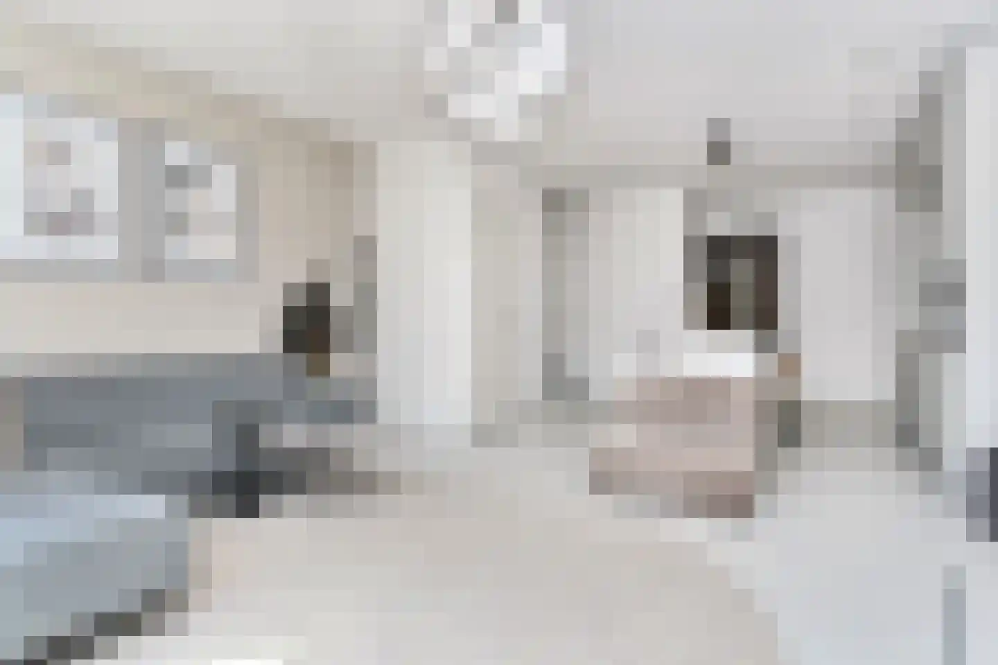 Parelmoervlinderlaan 134 Rijswijk thumbnail 4