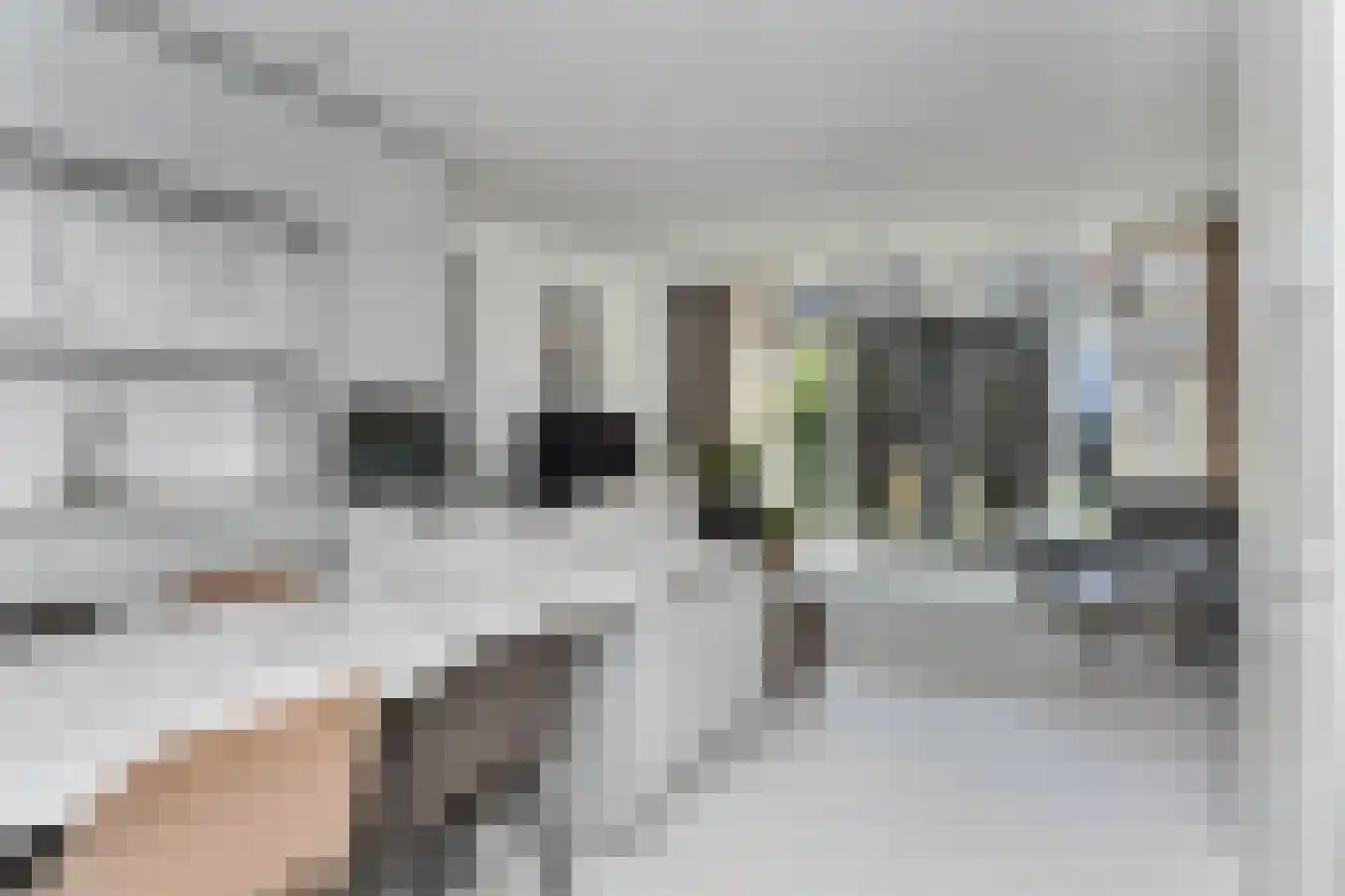 Parelmoervlinderlaan 134 Rijswijk thumbnail 7