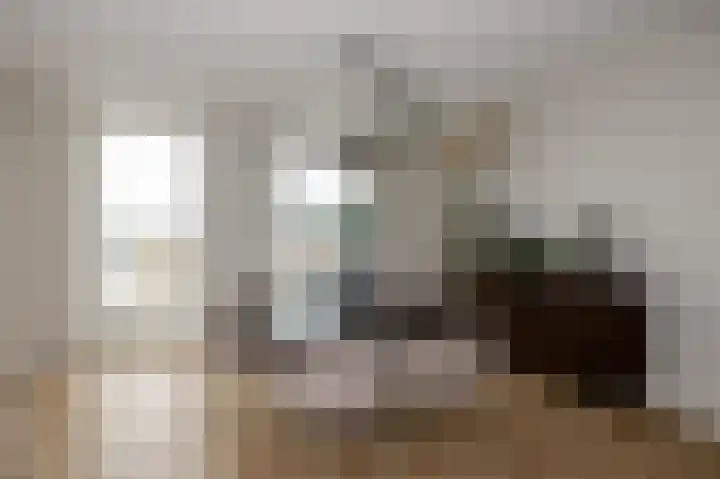 Parelmoervlinderlaan 146 Rijswijk thumbnail 14