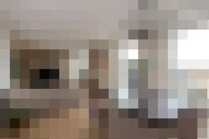 Parelmoervlinderlaan 146 Rijswijk thumbnail 15