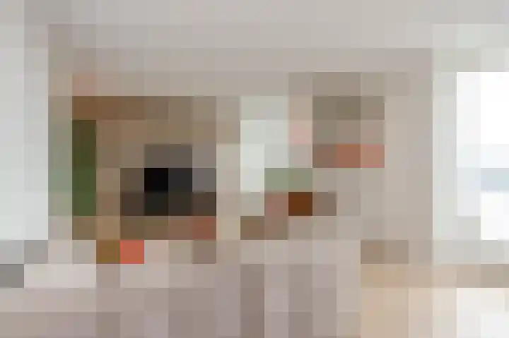 Parelmoervlinderlaan 146 Rijswijk thumbnail 18