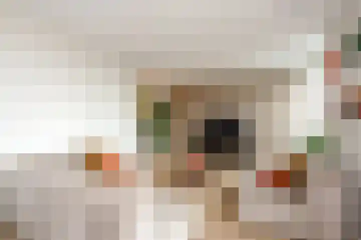 Parelmoervlinderlaan 146 Rijswijk thumbnail 19