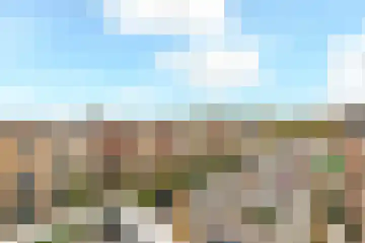 Parelmoervlinderlaan 146 Rijswijk thumbnail 25