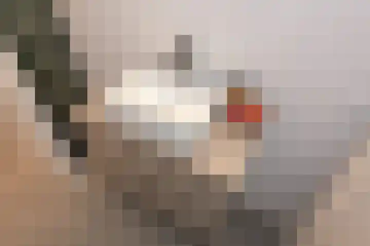 Parelmoervlinderlaan 146 Rijswijk thumbnail 31