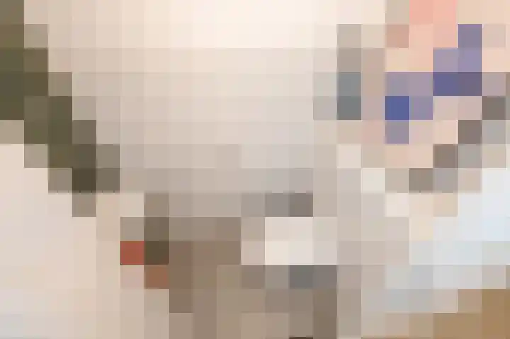 Parelmoervlinderlaan 146 Rijswijk thumbnail 38