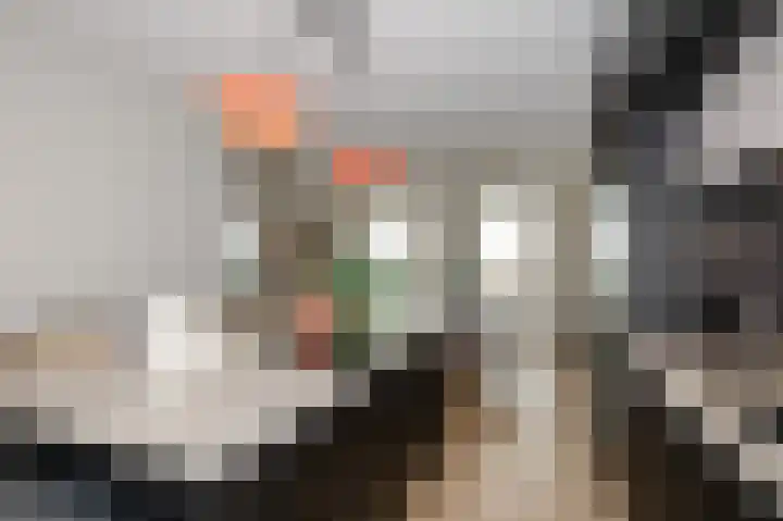 Parelmoervlinderlaan 146 Rijswijk thumbnail 7