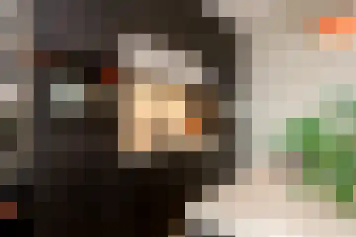 Parelmoervlinderlaan 146 Rijswijk thumbnail 8