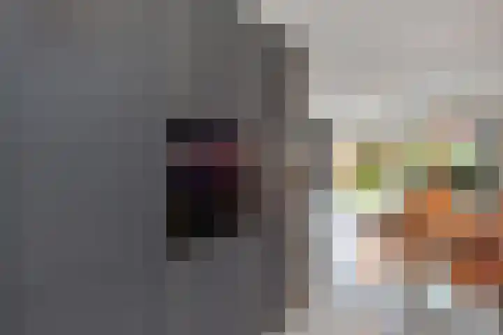 Parelmoervlinderlaan 23 Rijswijk thumbnail 14