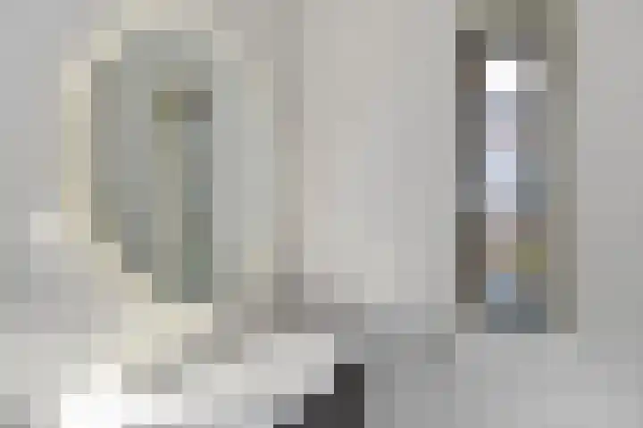 Parelmoervlinderlaan 23 Rijswijk thumbnail 19