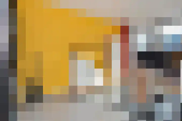 Parelmoervlinderlaan 23 Rijswijk thumbnail 26