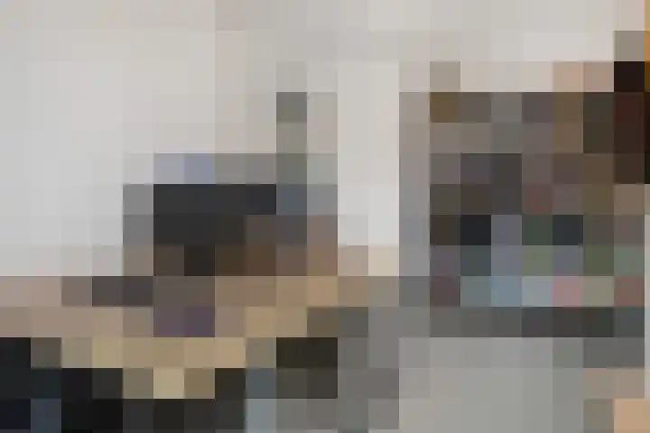 Parelmoervlinderlaan 23 Rijswijk thumbnail 29