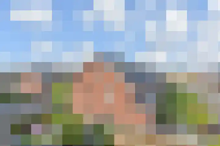 Parelmoervlinderlaan 23 Rijswijk thumbnail 35