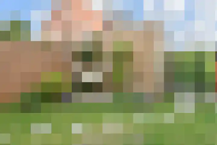 Parelmoervlinderlaan 23 Rijswijk thumbnail 38