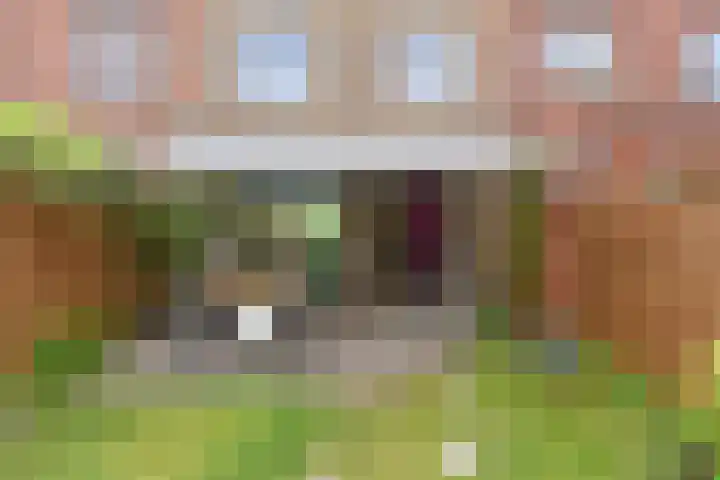 Parelmoervlinderlaan 23 Rijswijk thumbnail 41