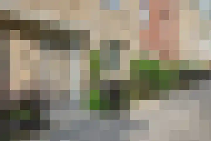 Parelmoervlinderlaan 23 Rijswijk thumbnail 43