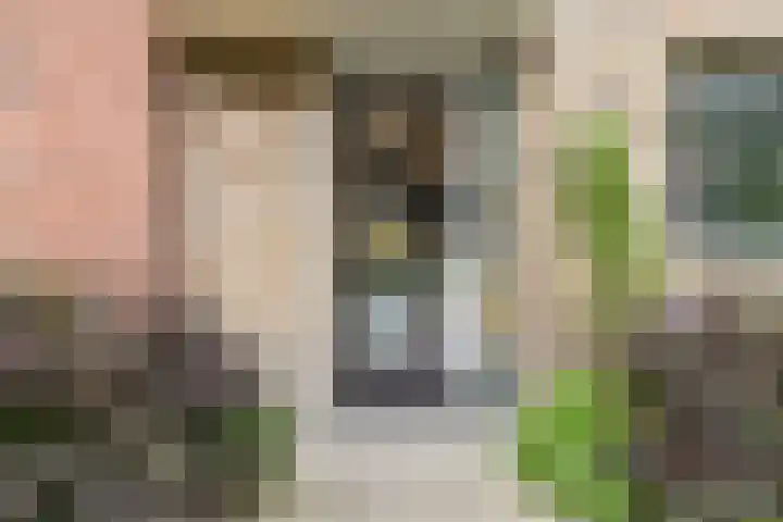 Parelmoervlinderlaan 23 Rijswijk thumbnail 6