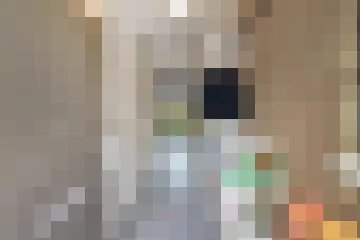 Parelmoervlinderlaan 23 Rijswijk thumbnail 7