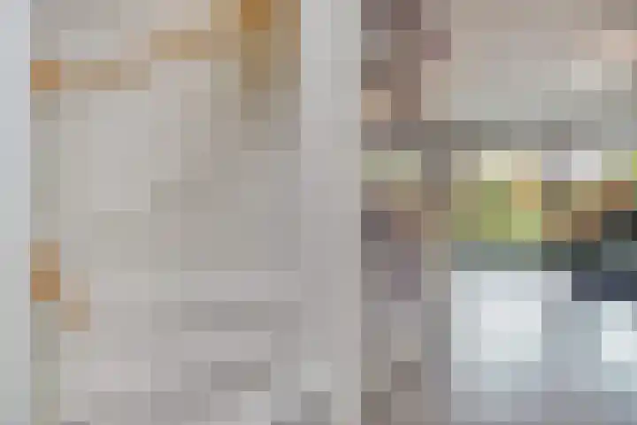 Parelmoervlinderlaan 23 Rijswijk thumbnail 8