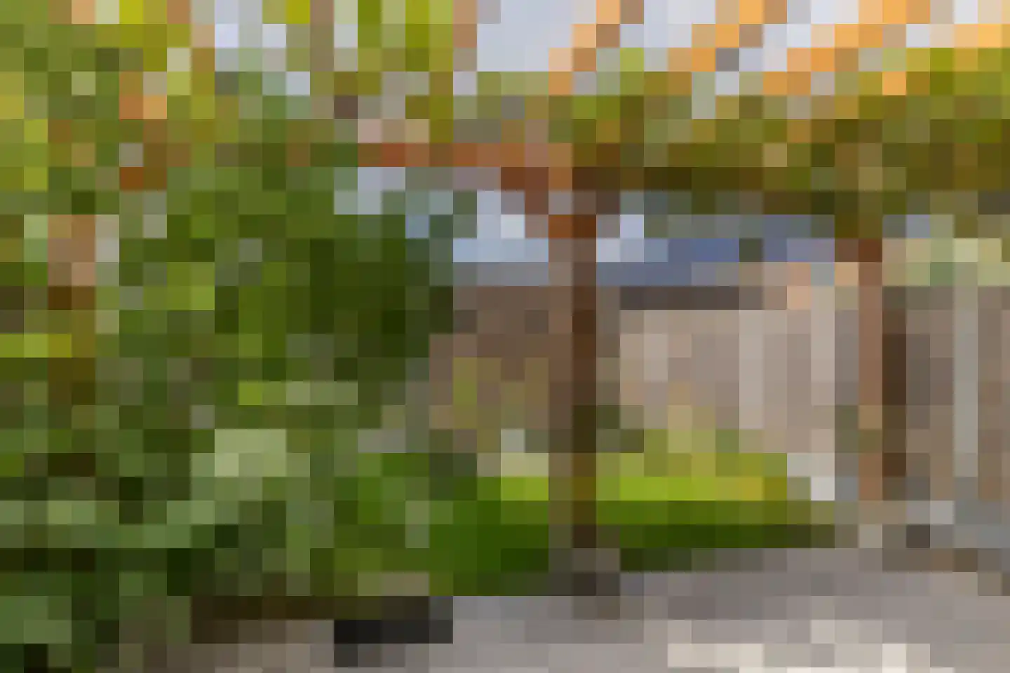 Parelmoervlinderlaan 7 Rijswijk thumbnail 14