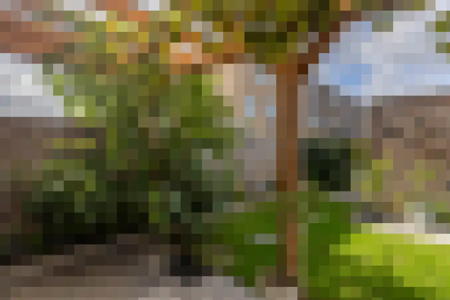 Parelmoervlinderlaan 7 Rijswijk thumbnail 15