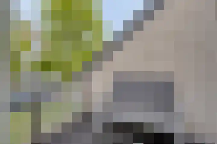 Parelplein 1 Middelburg thumbnail 13