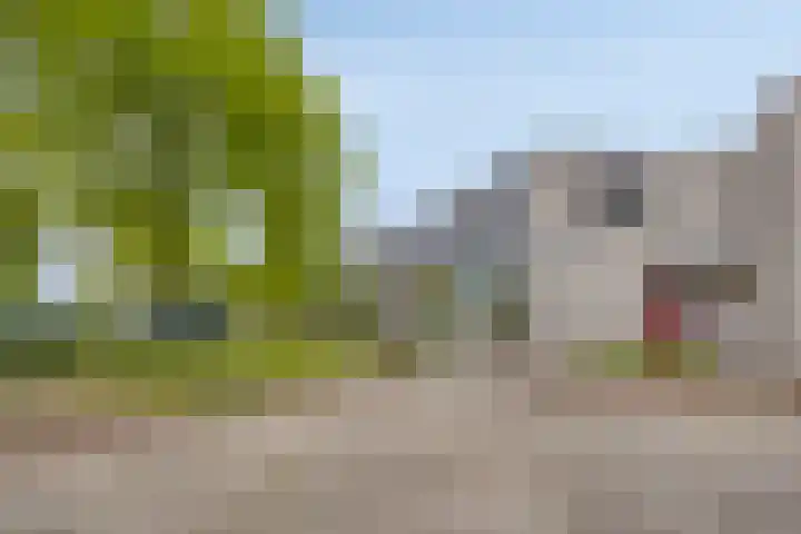 Parelplein 1 Middelburg thumbnail 21
